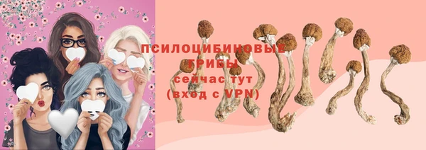 меф Алексин