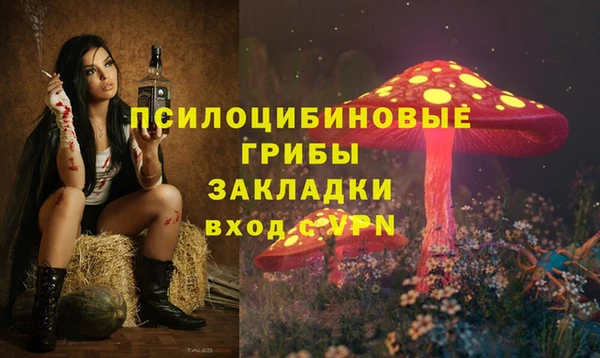 соль курить ск Алексеевка
